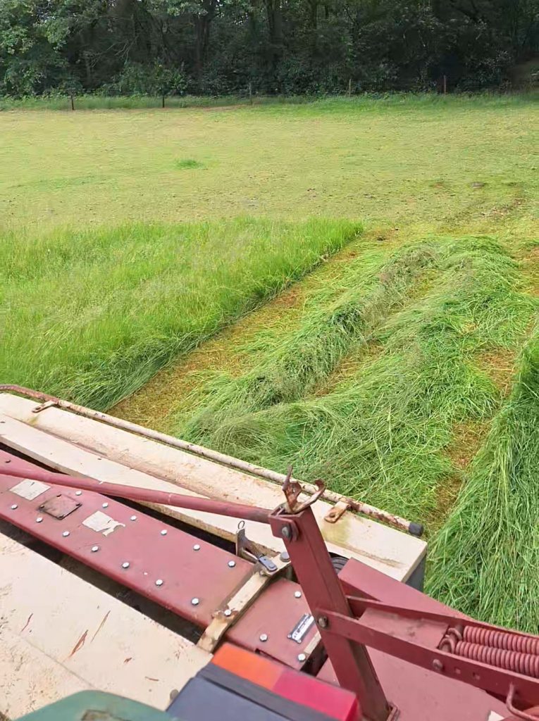 Gras maaien voor hooi loonwerk