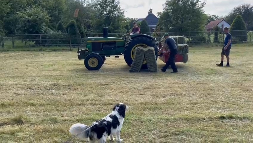Transport loonwerk