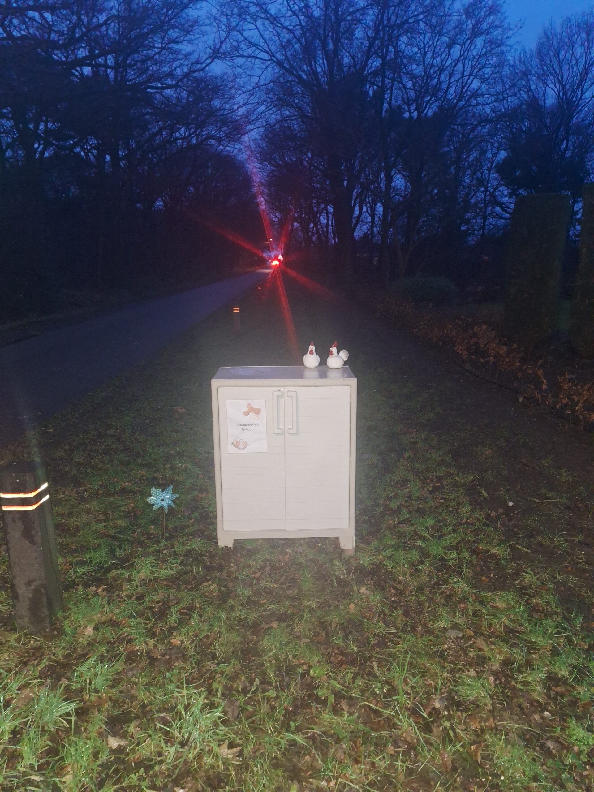Eieren verkoop kast